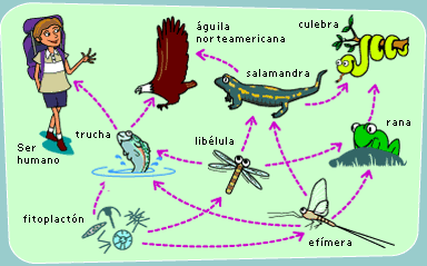 ReduceReciclaReutiliza