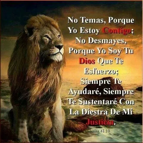 Refleccion | Reflexiones En Español | Pinterest Refleccion | Reflexiones En Español | Pinterest