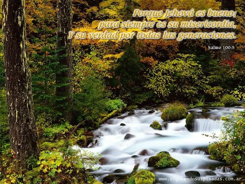 REFLECCIONES E IMAGENES: IMAGENES CON VERSICULOS Y MENSAJES REFLECCIONES E IMAGENES: IMAGENES CON VERSICULOS Y MENSAJES