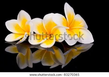 Reflecion Stock Photos, Reflecion Stock Photography, Reflecion ...