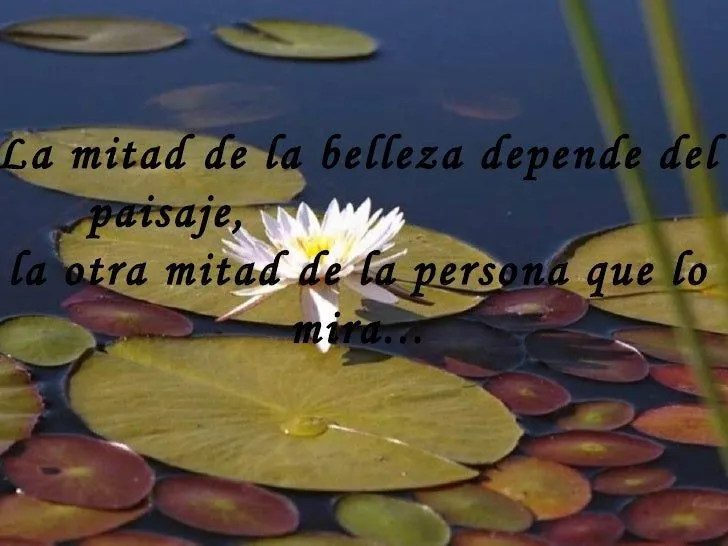 reflexion-3-728.jpg?cb=1229689019