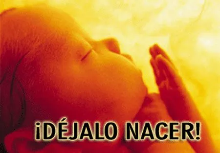 Reflexión Sobre el Aborto - Taringa!