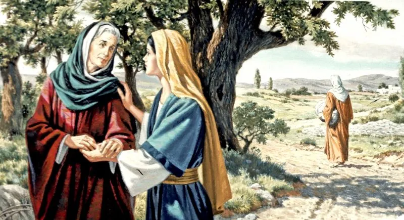 Reflexión diaria: Viernes 23 de agosto del 2013 | Biblia para la Vida