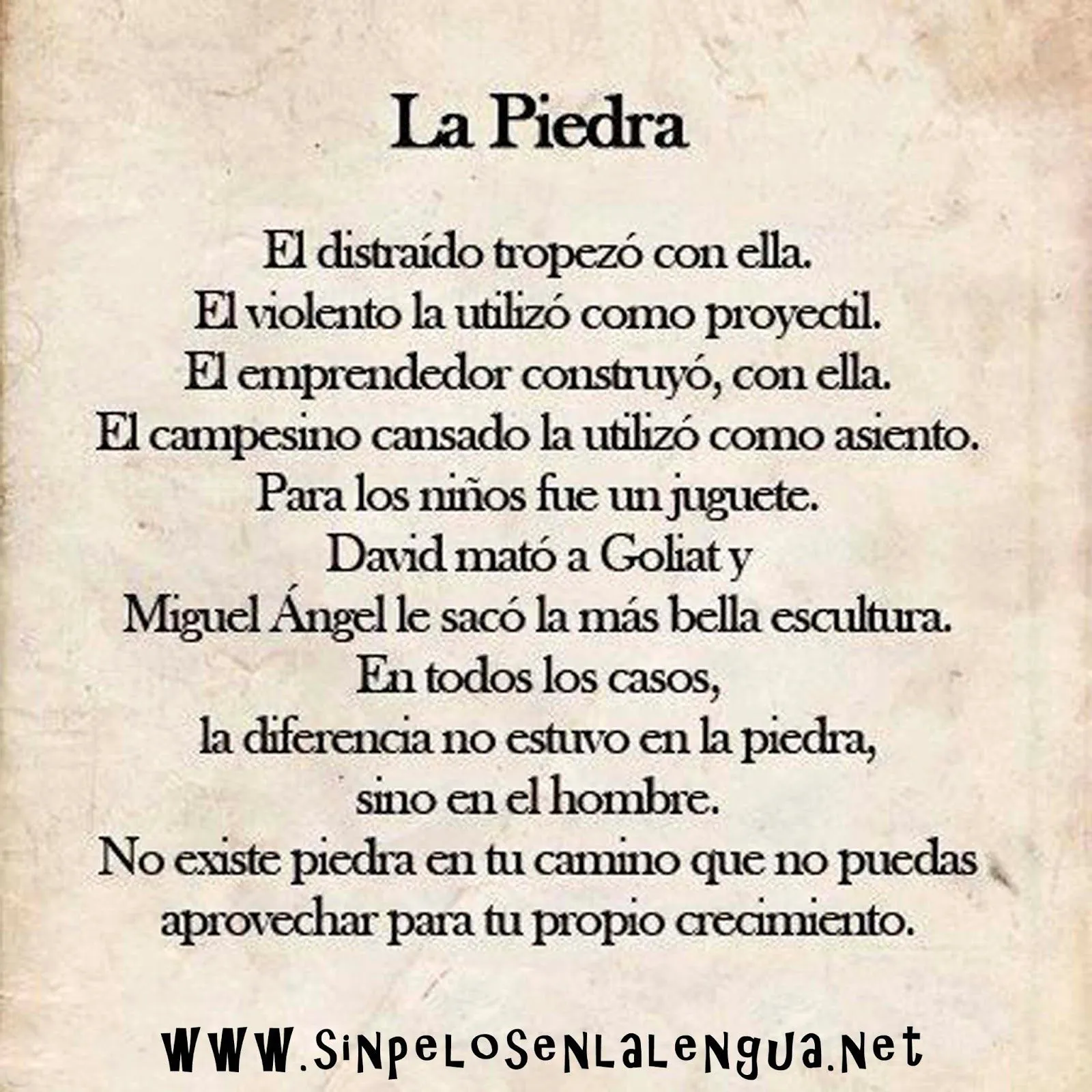 reflexion on Pinterest | 23 Pins