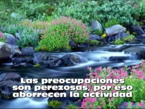 Reflexiones para el 2012 (HD) - YouTube