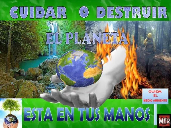 4. REFLEXIONES! | AMA Y CUIDA TU PLANETA