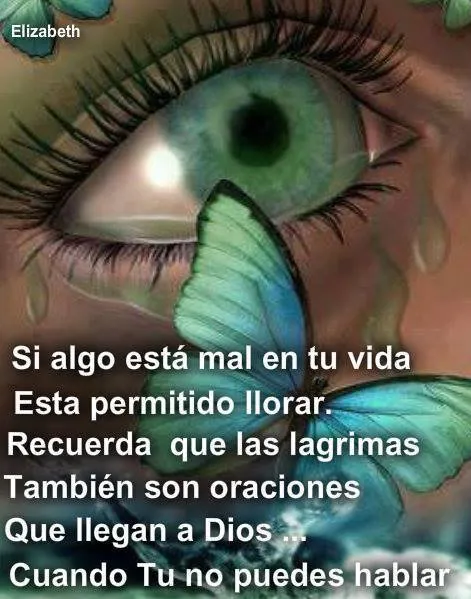 Amistad reflexiones y Algo más | reflexiones de amistad para llorar Amistad reflexiones y Algo más | reflexiones de amistad para llorar