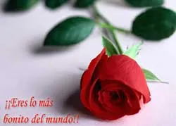  ... - Reflexiones de Amor y Poemas de Amor, Frases de Amor para enviar