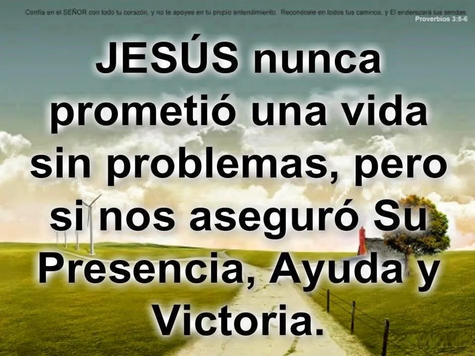 REFLEXIONES BASADAS EN LA BIBLIA | MiZancudito.com | Imagenes ... REFLEXIONES BASADAS EN LA BIBLIA | MiZancudito.com | Imagenes ...