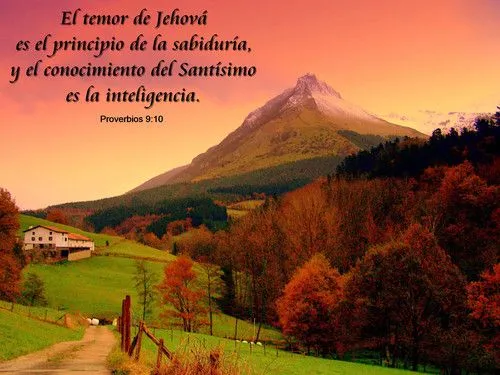 reflexiones biblicas para jovenes | Blog Para meditar