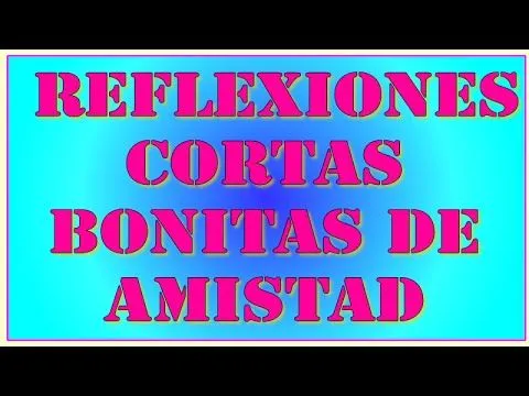 reflexiones cortas bonitas de amistad - YouTube