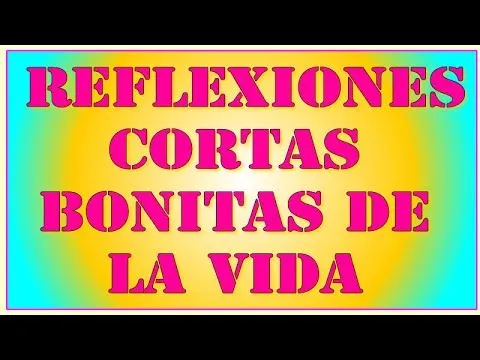 reflexiones cortas bonitas de la vida - YouTube