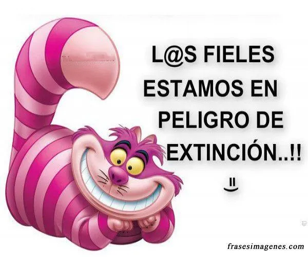 reflexiones cortas y positivas | reflexiones diarias frases y ...