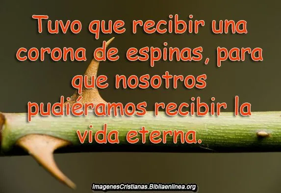 Reflexiones Cristianas del amor de Dios - Imagenes Cristianas Reflexiones Cristianas del amor de Dios - Imagenes Cristianas