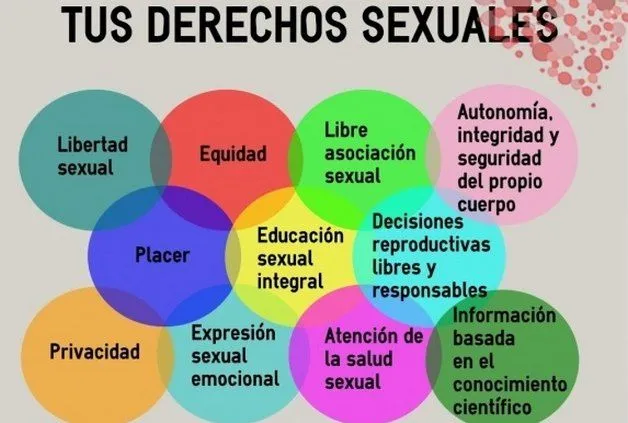 Reflexiones sobre derechos sexuales y reproductivos - Instituto ...