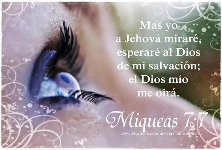 Reflexiones diarias “El Saber Esperar En El Señor ” – María ...