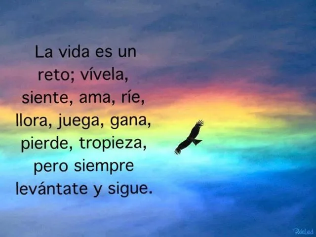 Reflexiones diarias – “Se hecha su voluntad, en cielo como en la ...