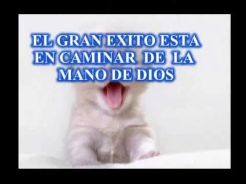 reflexiones diarias - YouTube