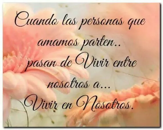Reflexiones sobre el duelo on Pinterest | Frases, Te Quiero and Te Amo