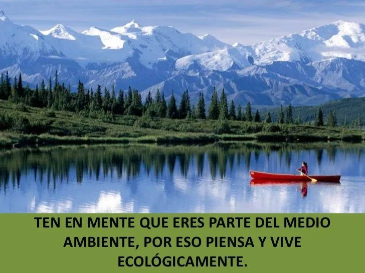 reflexiones-ecologicas-grado- ...