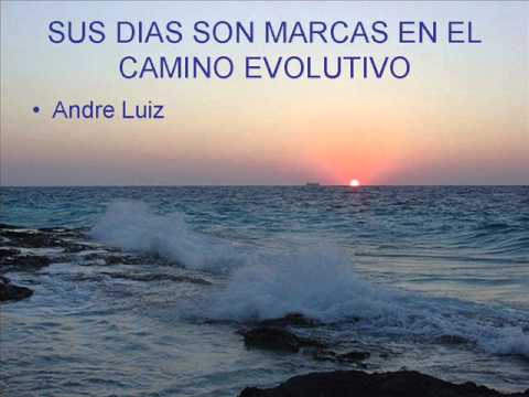 Reflexiones Espiritas en Español - YouTube
