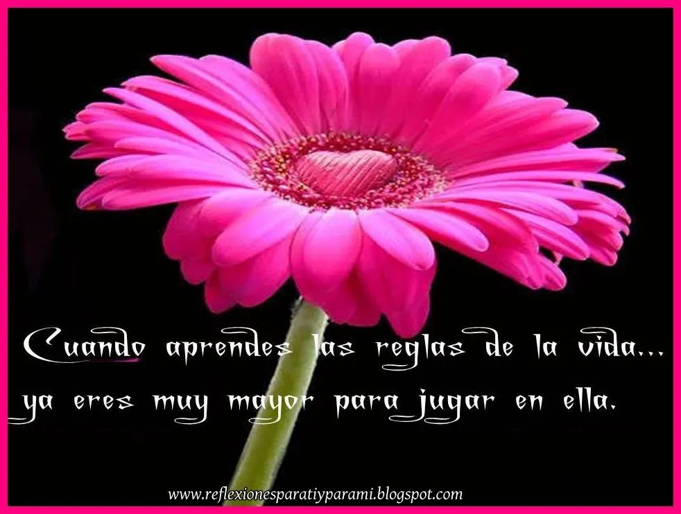 Reflexiones para TI y para MÍ: * cuando aprendes las reglas de la ...