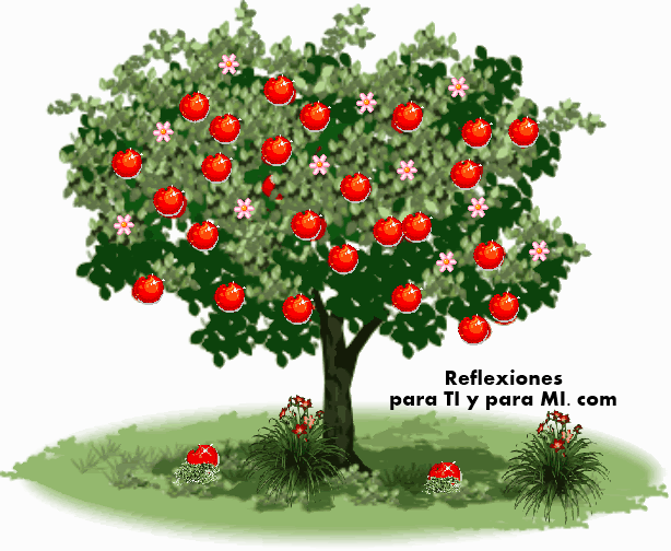 Reflexiones para TI y para MÍ: ***** El Árbol de las Manzanas Reflexiones para TI y para MÍ: ***** El Árbol de las Manzanas
