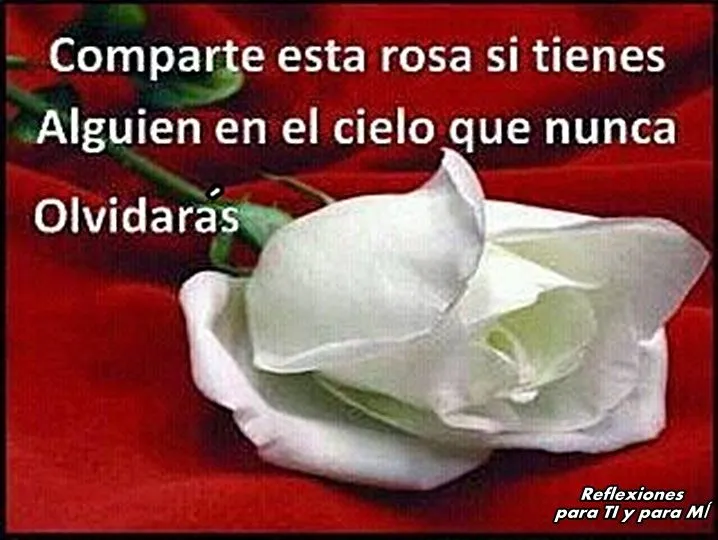 Reflexiones para TI y para MÍ: * Comparte esta rosa si tienes ...