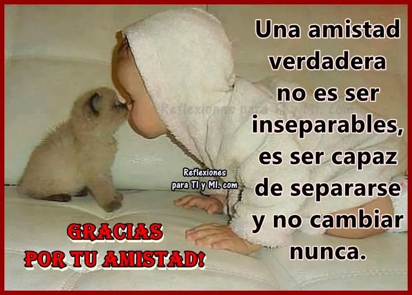 Imagenes de reflexiones de amistad - Imagui