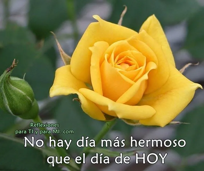 Reflexiones para TI y para MÍ: * No hay día más hermoso que el día ... Reflexiones para TI y para MÍ: * No hay día más hermoso que el día ...