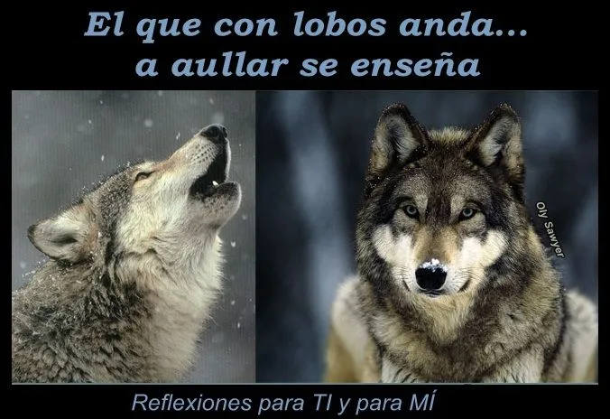 Reflexiones para TI y para MÍ: * El que con lobos anda... Reflexiones para TI y para MÍ: * El que con lobos anda...