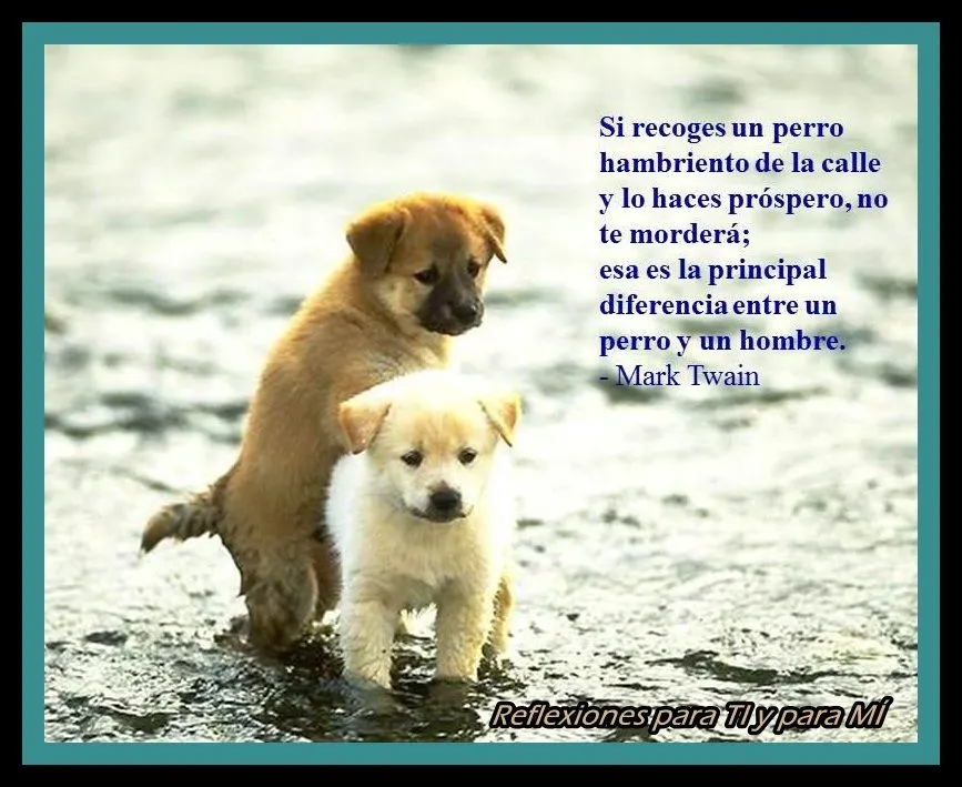 Reflexiones para TI y para MÍ: * Si recoges un perro hambriento en ... Reflexiones para TI y para MÍ: * Si recoges un perro hambriento en ...