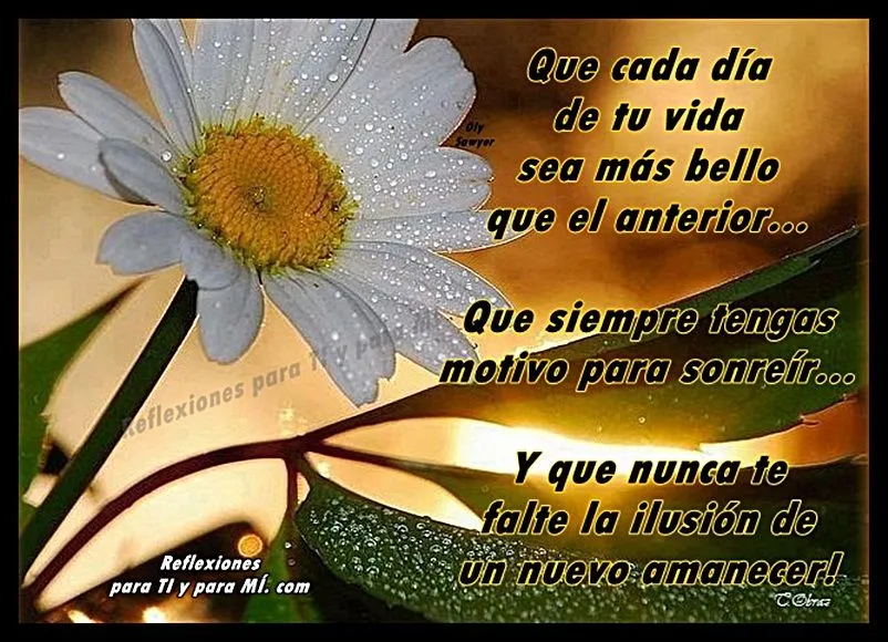 Reflexiones para TI y para MÍ: * Que cada día de tu vida sea más ... Reflexiones para TI y para MÍ: * Que cada día de tu vida sea más ...