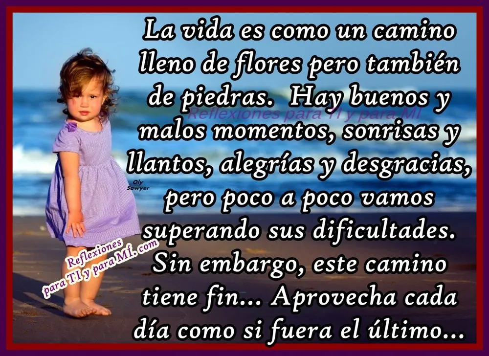 Reflexiones para TI y para MÍ: * La vida es como un camino lleno ... Reflexiones para TI y para MÍ: * La vida es como un camino lleno ...
