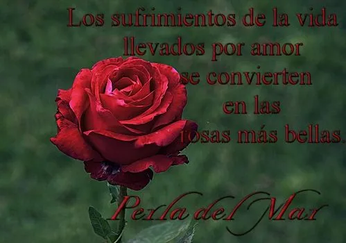 REFLEXIONES | perladejesus | Página 3