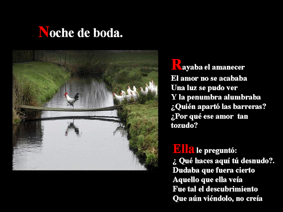 reflexiones y poemas: A la muerte de la madre reflexiones y poemas: A la muerte de la madre