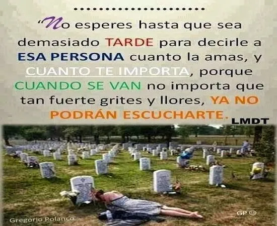 Reflexiones positivas y cortas para dedicar | Frases de felicidad
