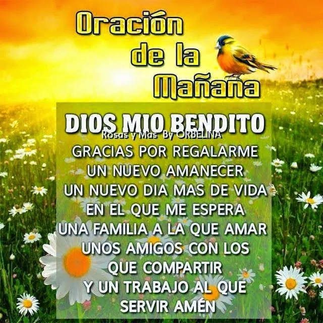 reflexiones de la vida diaria cristianas - IMG MLP