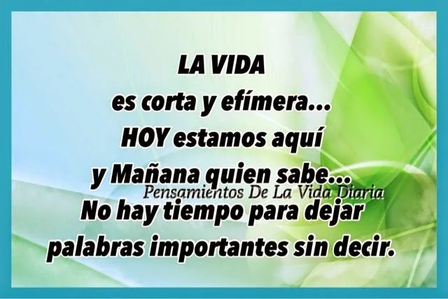 reflexiones de la vida diaria - IMG MLP