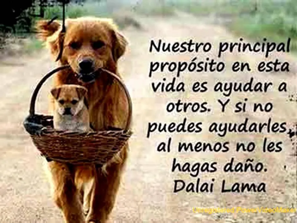 reflexiones para la vida - YouTube