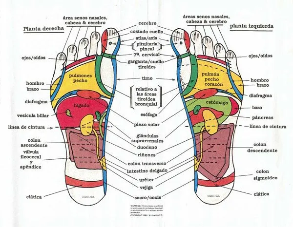 Reflexologia