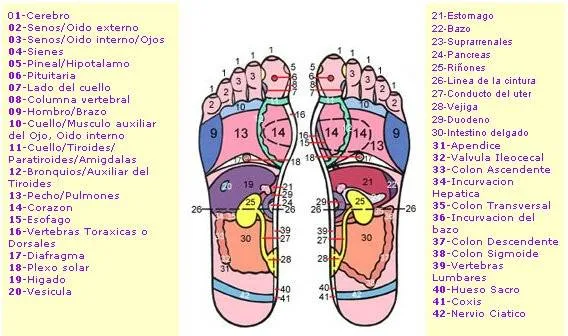 reflexologia | Andrea Saracco Blog