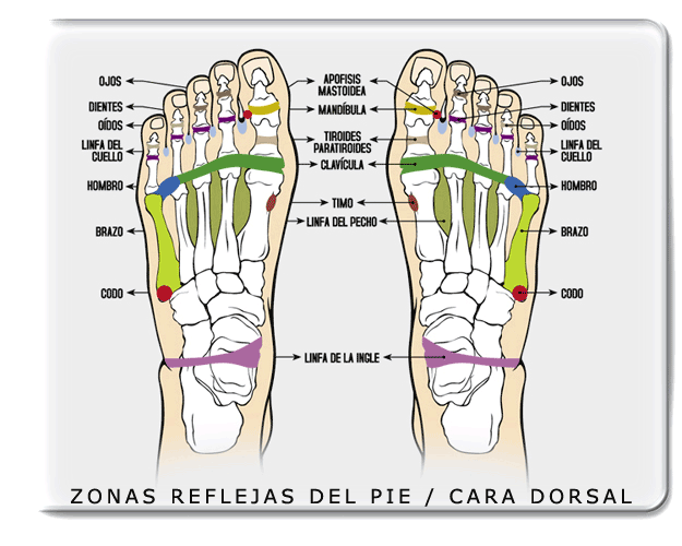 Reflexología Podal | Maquillandolavida
