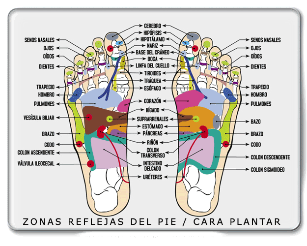 Reflexología Podal | Maquillandolavida