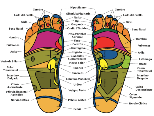 La reflexología podal | spacioazul
