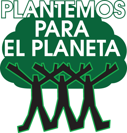 Reforestacion de arboles dibujos - Imagui