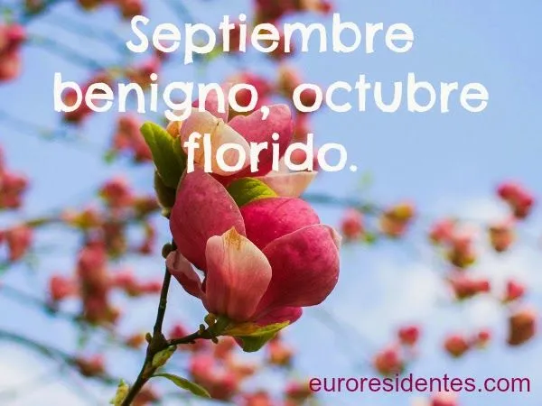 Refranes sobre Todo