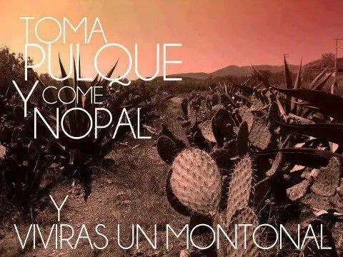 Refranes mexicanos | Open Mind | Pinterest