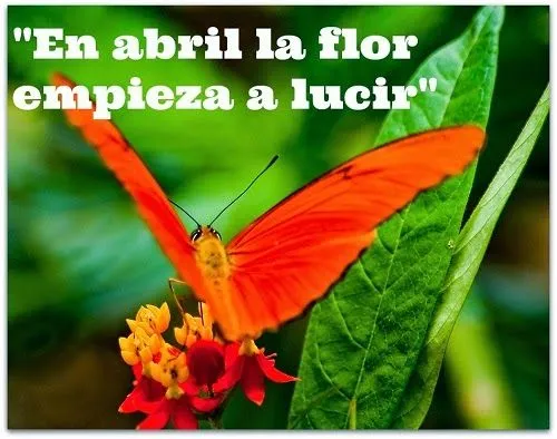 Refranes sobre Todo: 6 refranes sobre abril cortos