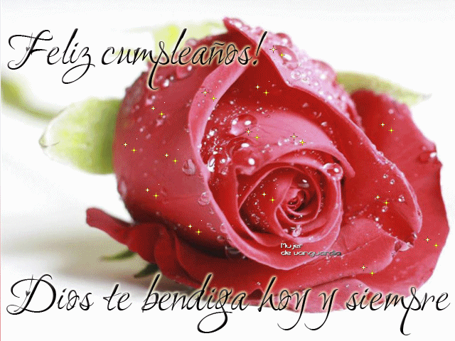Regala una rosa de Feliz cumpleaños - Tarjetas y mensajes cristianos Regala una rosa de Feliz cumpleaños - Tarjetas y mensajes cristianos